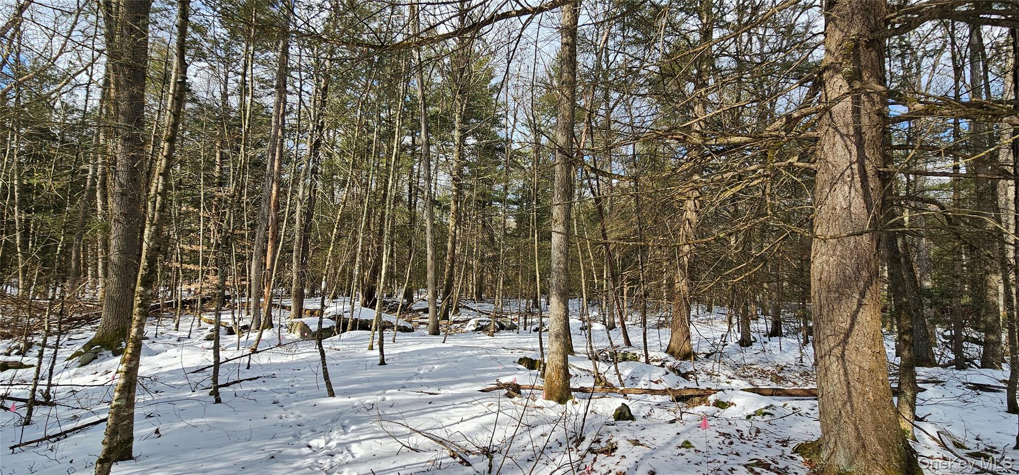 Lot 82 Perry Pond Road Narrowsburg, NY 12764 - Photo 10 of 18 a view of outdoor space with seating area