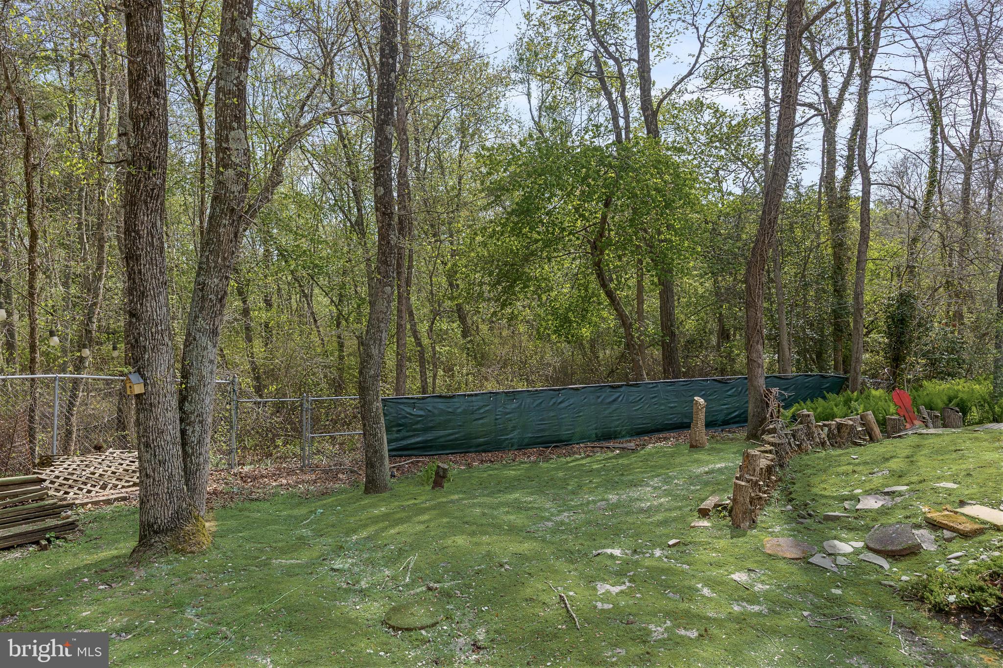 863 McKendimen Road Shamong, NJ 08088 - Photo 45 of 59