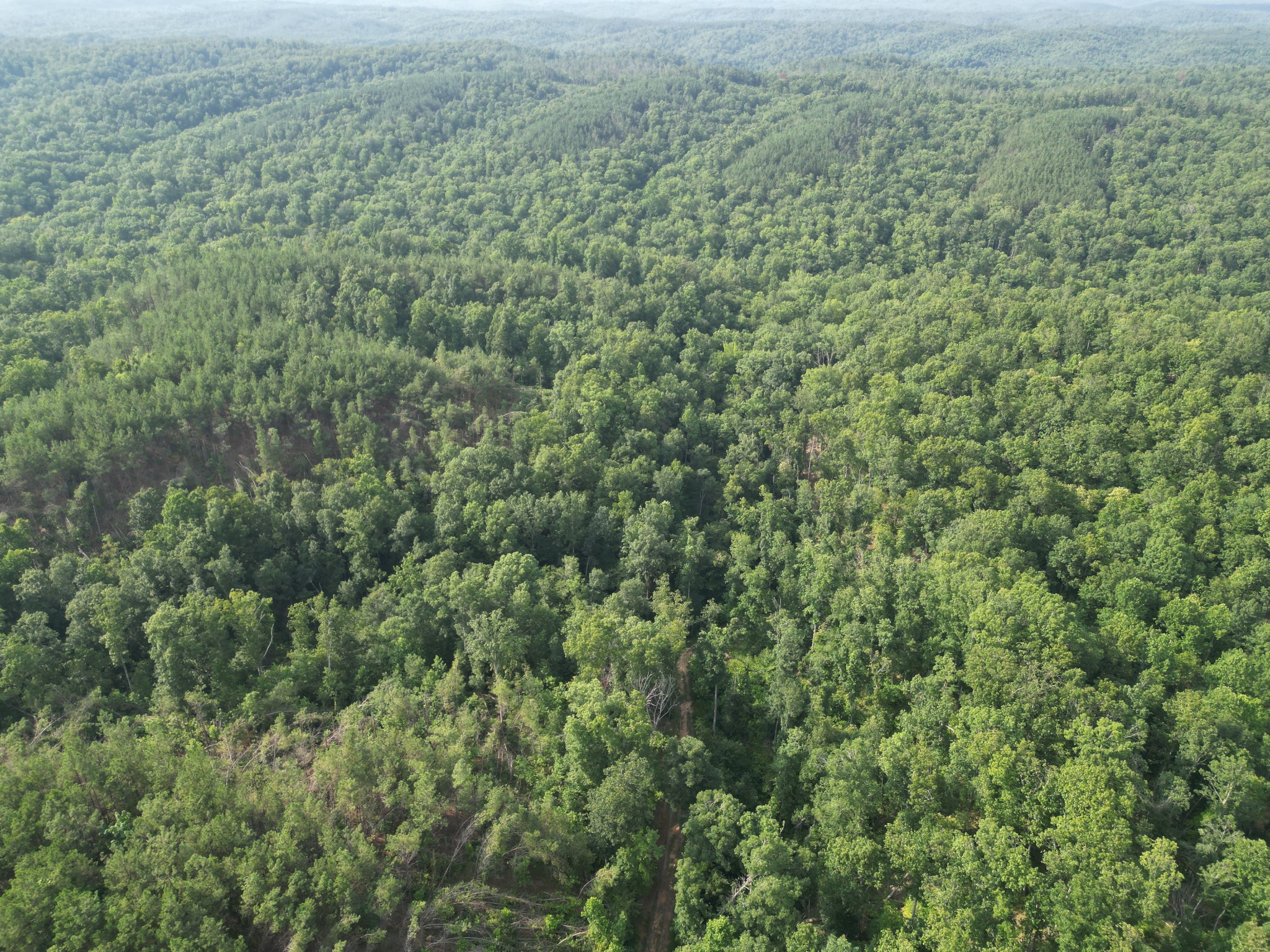 0 Toll Hollow Road Waynesboro, TN 38485 - Photo 38 of 43