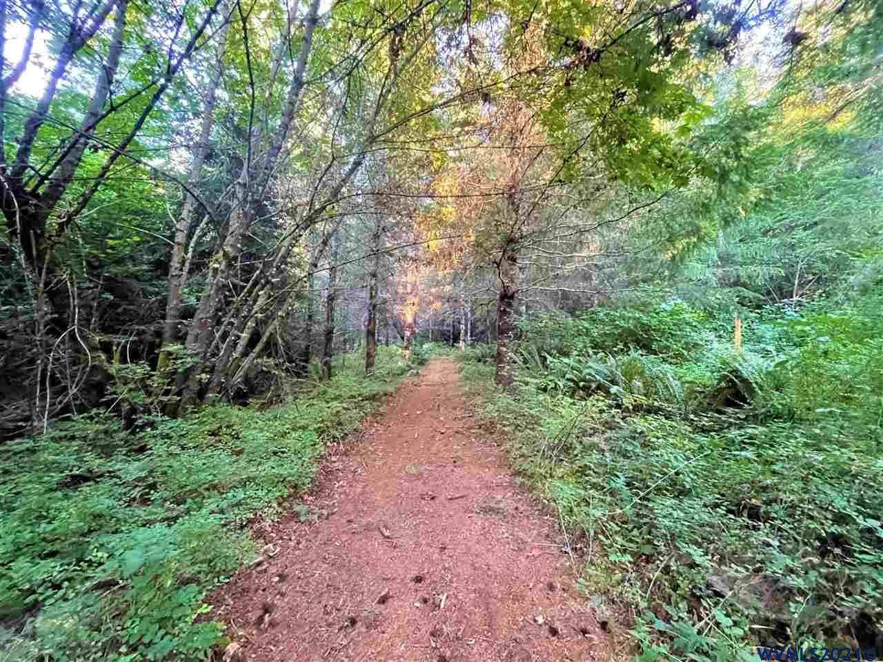 Tl804 Hall Road Cheshire, OR 97419 - Photo 9 of 17 Gallery Image 9