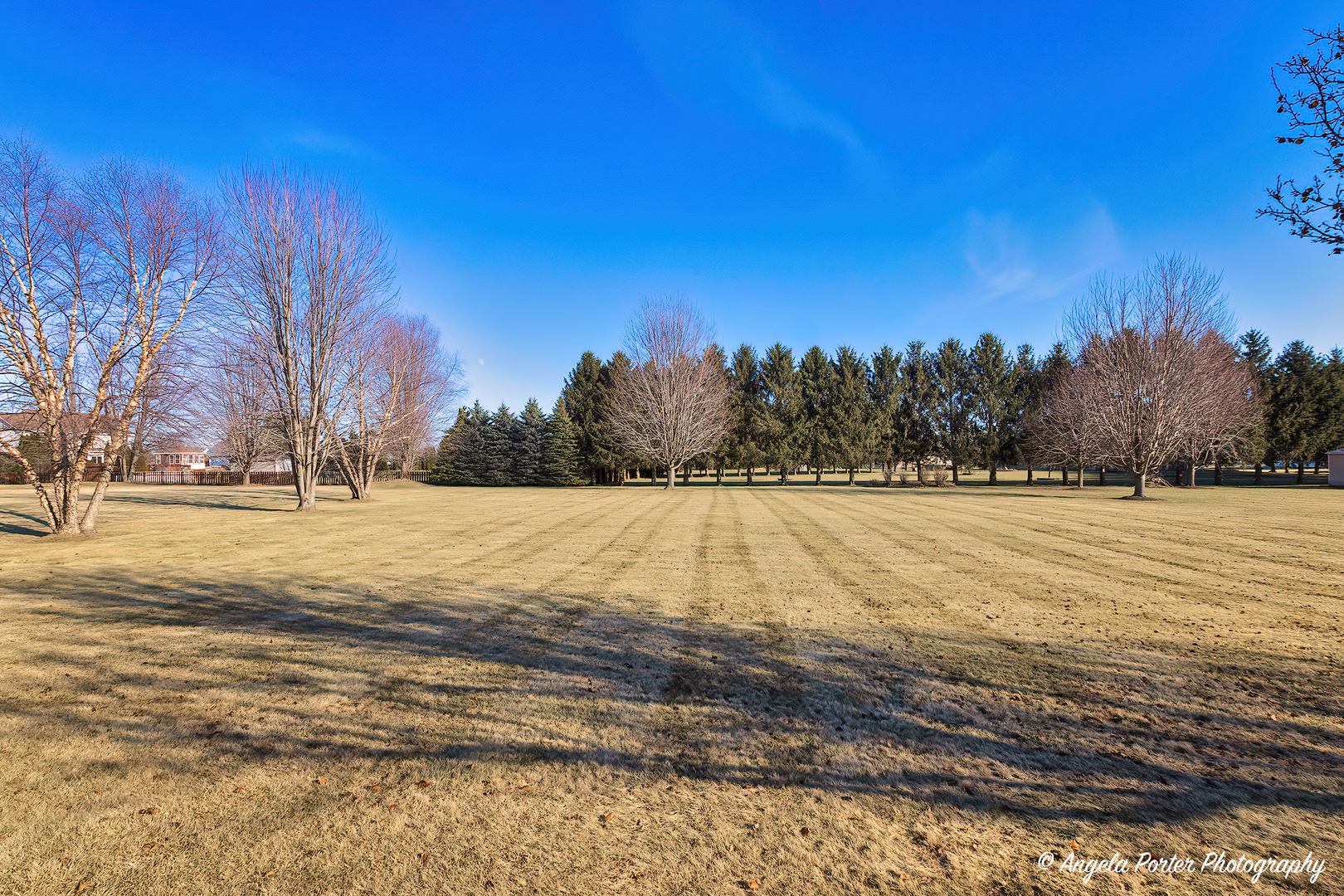 5906 Bison Lane Johnsburg, IL 60051 - Photo 41 of 47