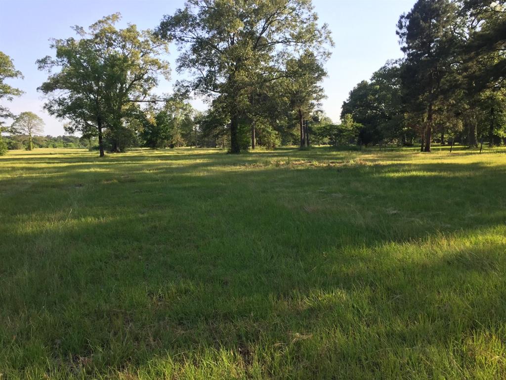 0 Spruell Road Monroe, LA 71202 - Photo 1 of 1 a view of a park