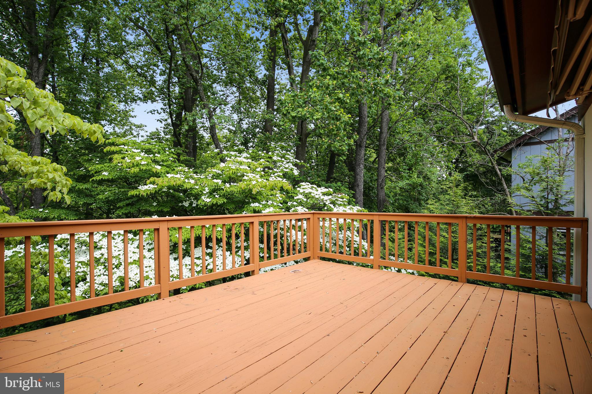 11220 Wedge Drive Reston, VA 20190 - Photo 14 of 65 Dinning Room Deck With Electronic Awning