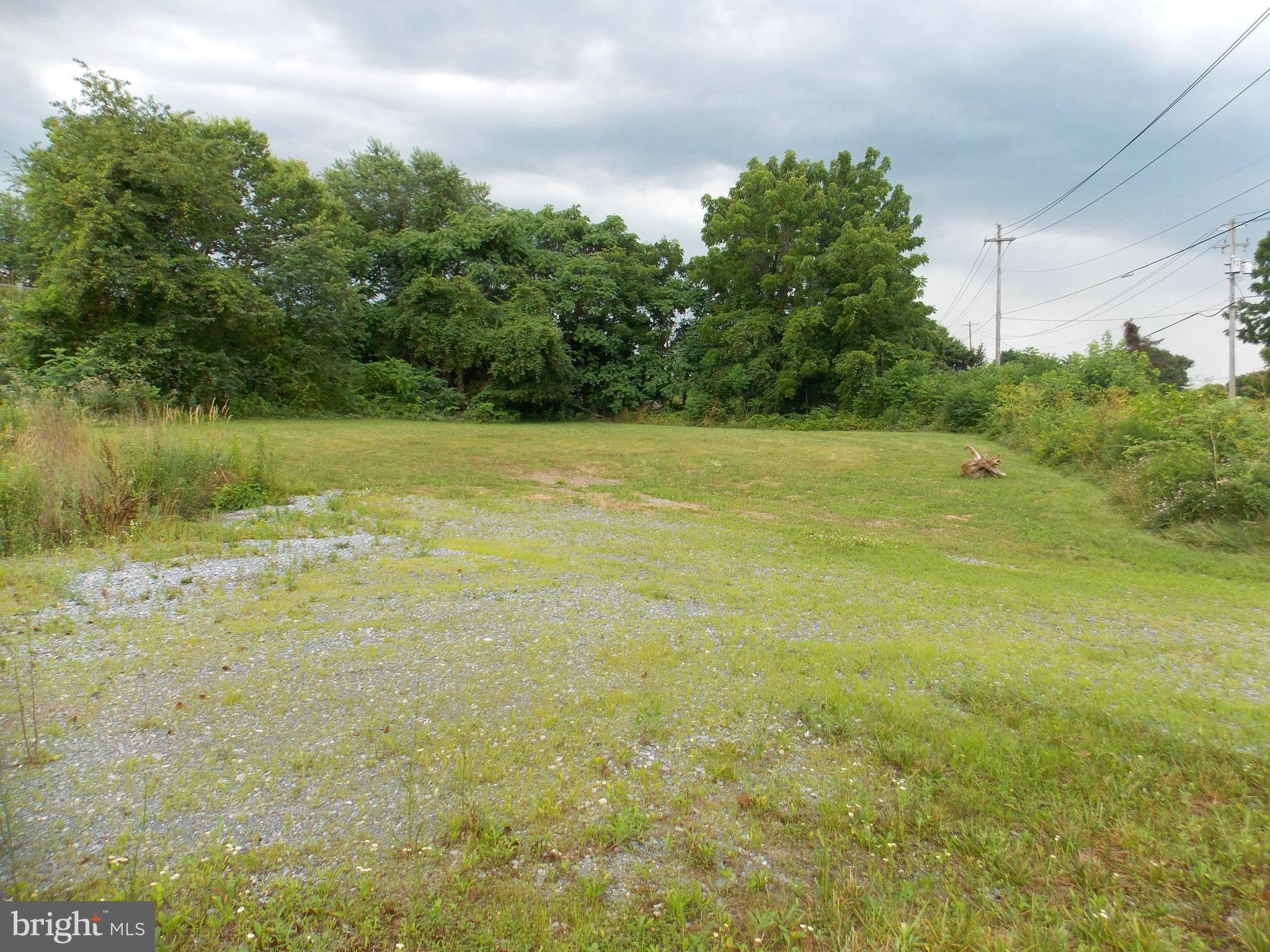 1046 Old Elizabethtown Road Elizabethtown, PA 17022 - Photo 9 of 28 Other Piece of Land (other side of the long grass)