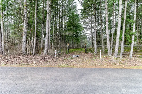a view of backyard with trees