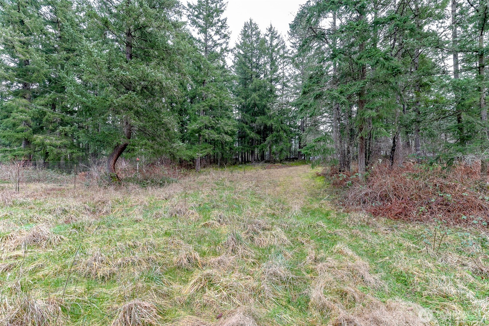 25414 48th Avenue East Graham, WA 98338 - Photo 4 of 25 a view of outdoor space and green space
