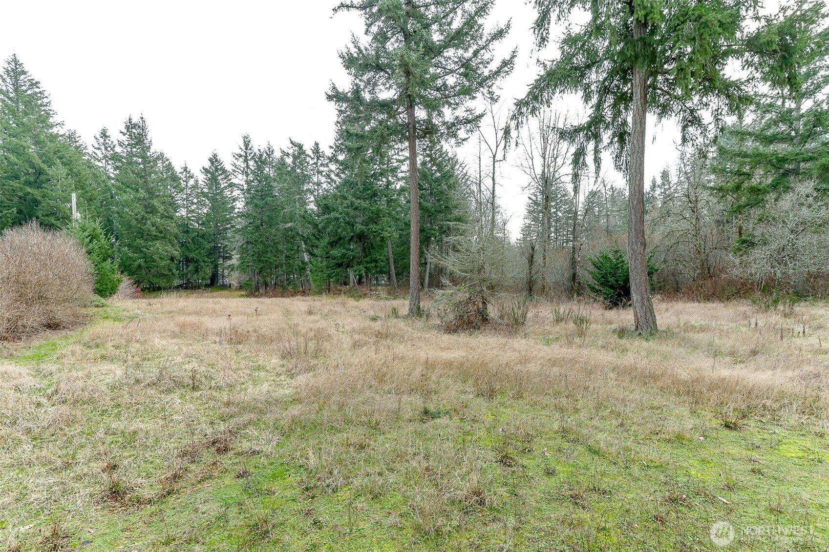 25414 48th Avenue East Graham, WA 98338 - Photo 6 of 25 a view of a field with trees in the background
