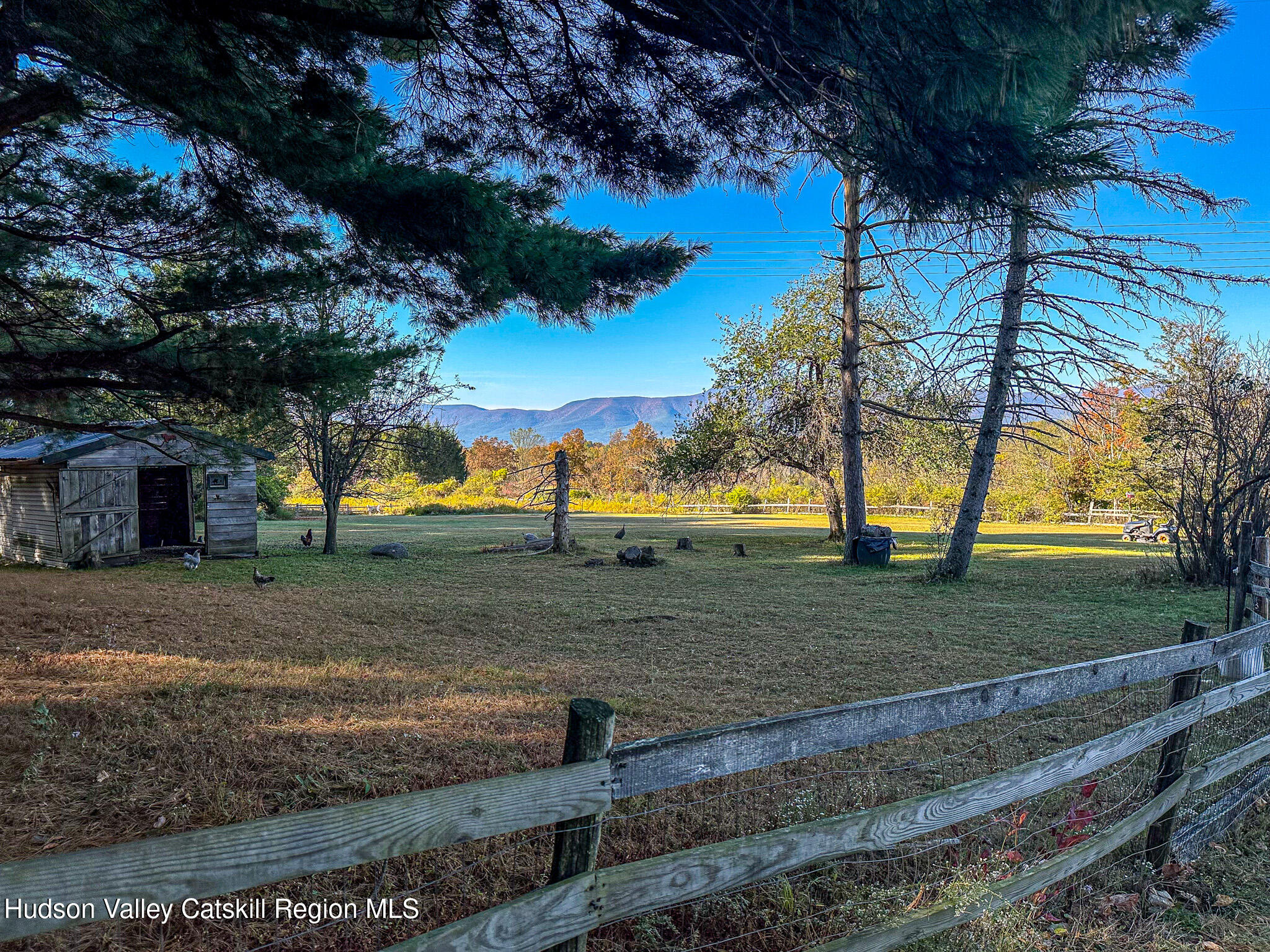 91 Drake Hill Road Greenville, NY 12431 - Photo 21 of 28 a view of a yard with an tree
