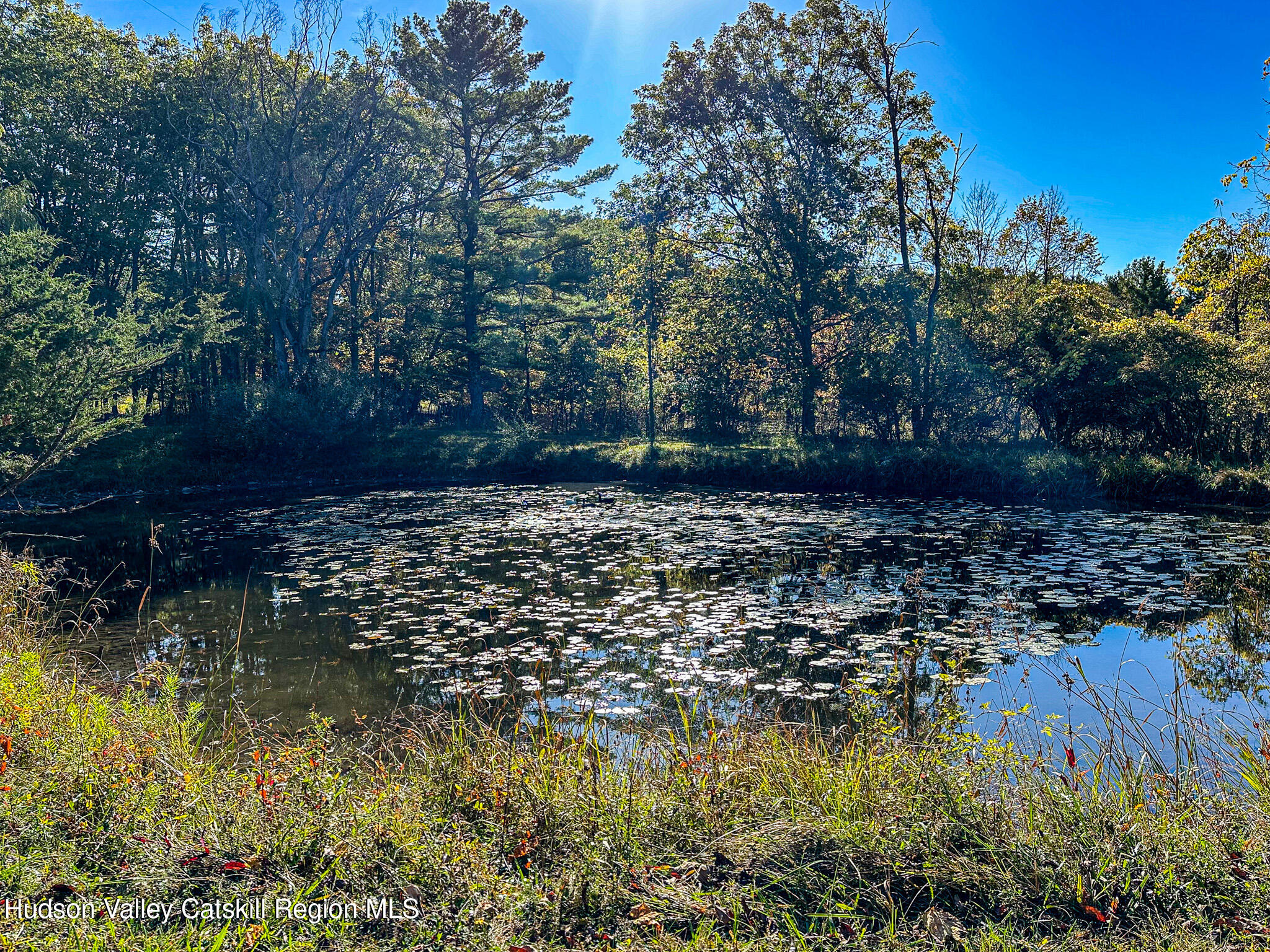 91 Drake Hill Road Greenville, NY 12431 - Photo 24 of 28 a view of a lake view