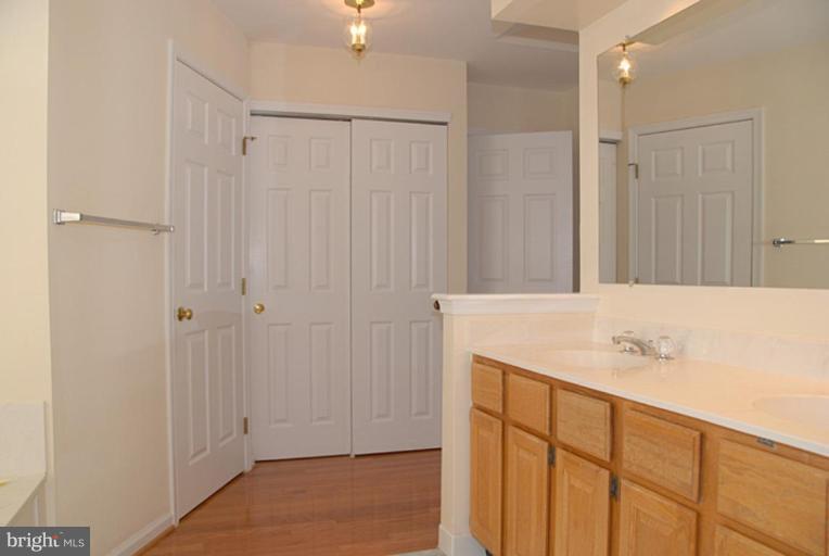 1252 Lamplighter Way Reston, VA 20194 - Photo 13 of 25 Master Bath