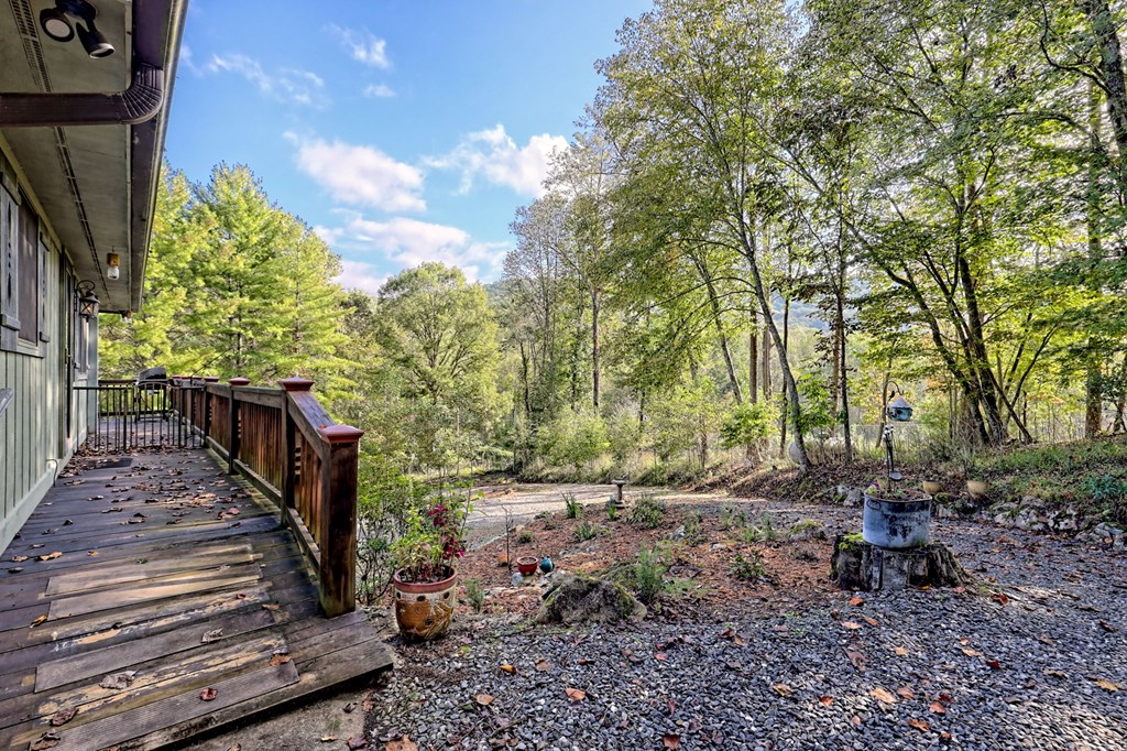 206 Peckerwood Road Hayesville, NC 28904 - Photo 70 of 75