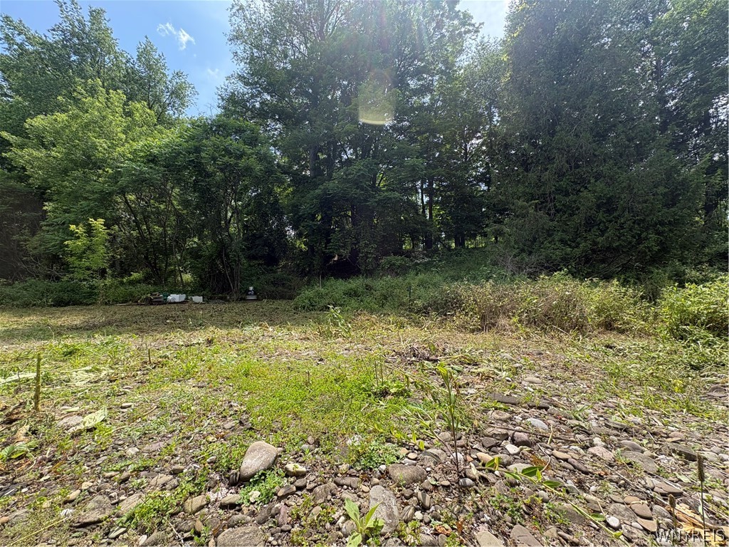 11557 Mill Fillmore, NY 14735 - Photo 4 of 10
