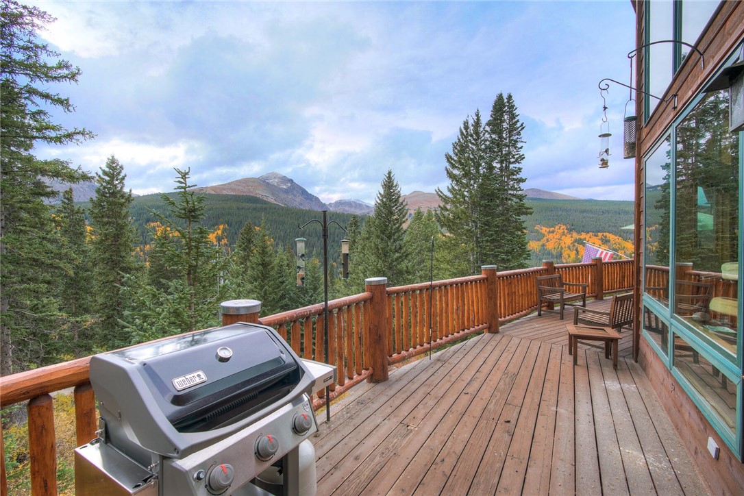 843 Range Road Breckenridge, CO 80424 - Photo 25 of 30 Tons of outdoor space