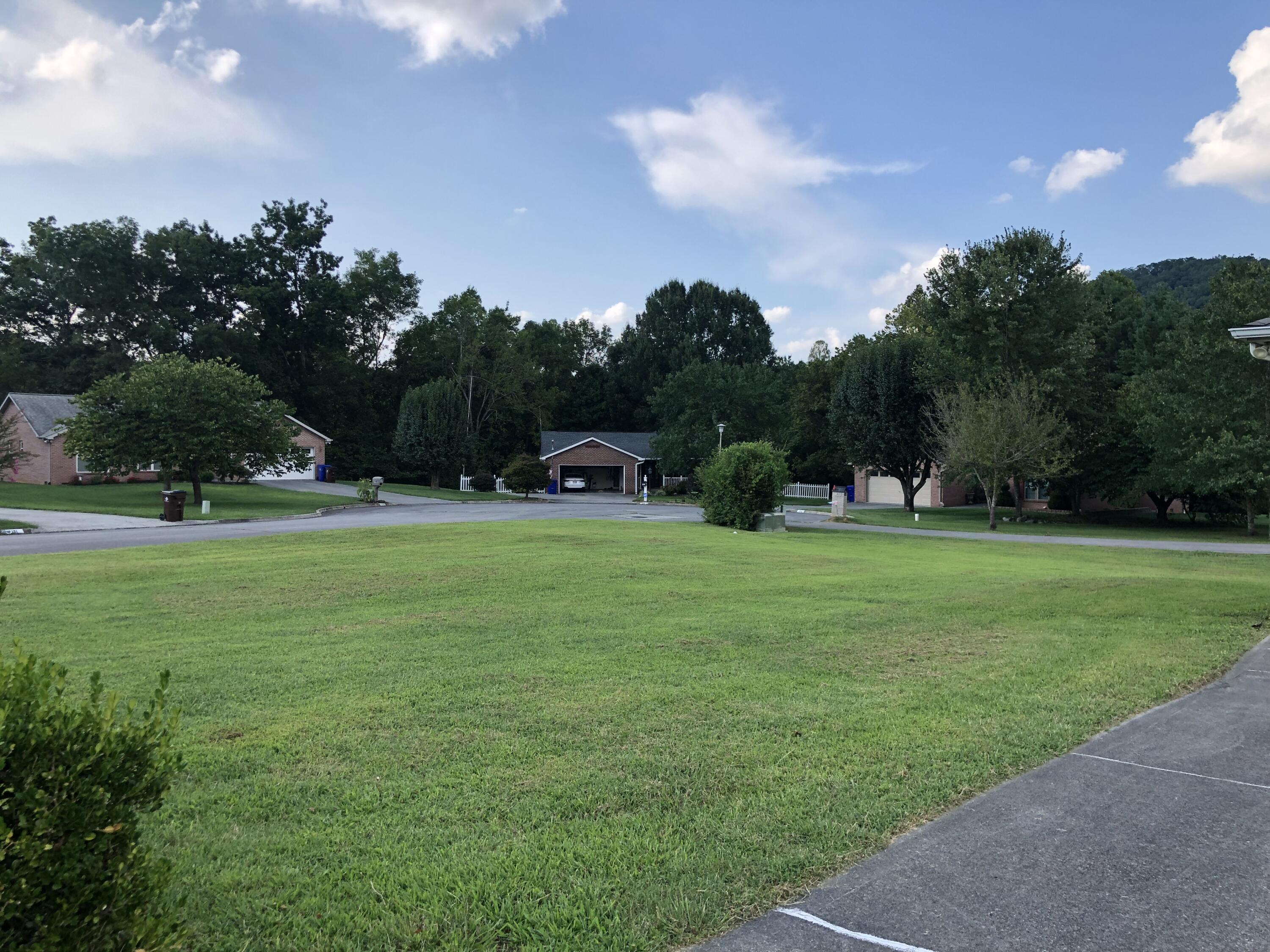 118 Capital Circle Oak Ridge, TN 37830 - Photo 16 of 16 Large Side Yard