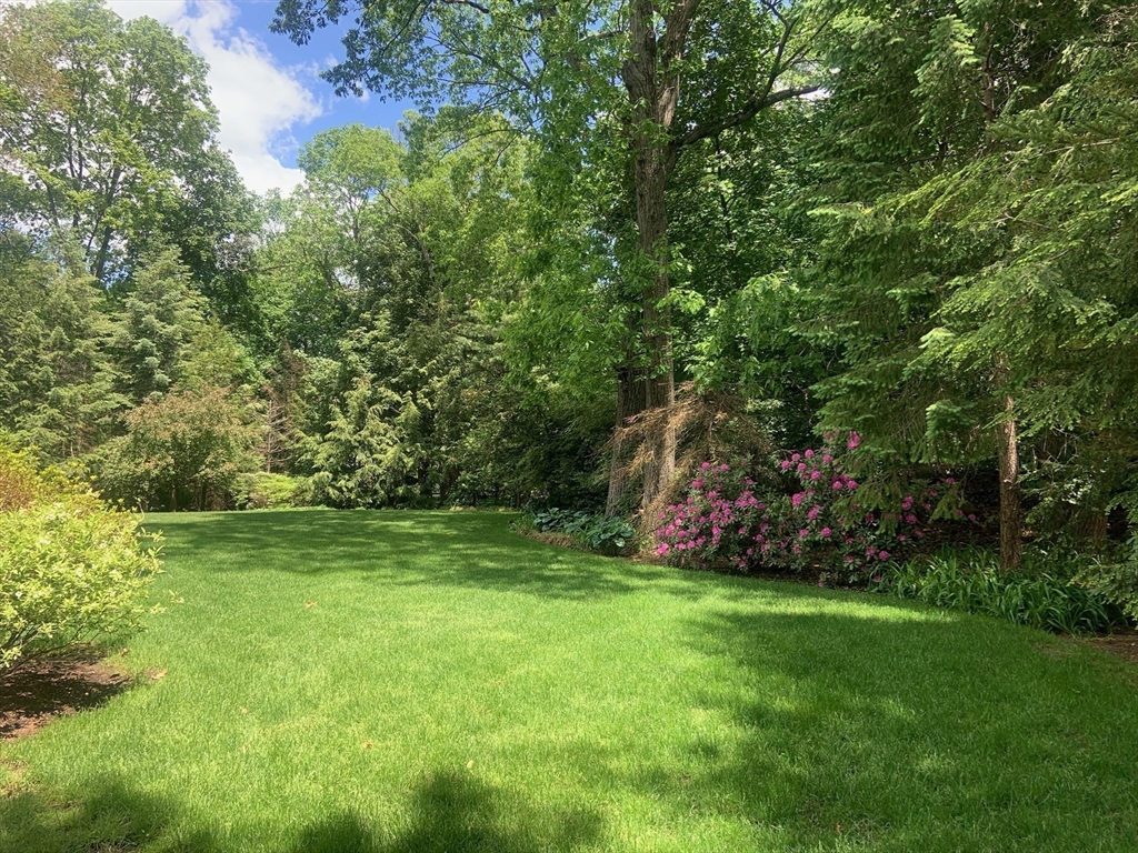29 Woodcliff Road Wellesley, MA 02481 - Photo 28 of 31 a view of green field with trees in the background