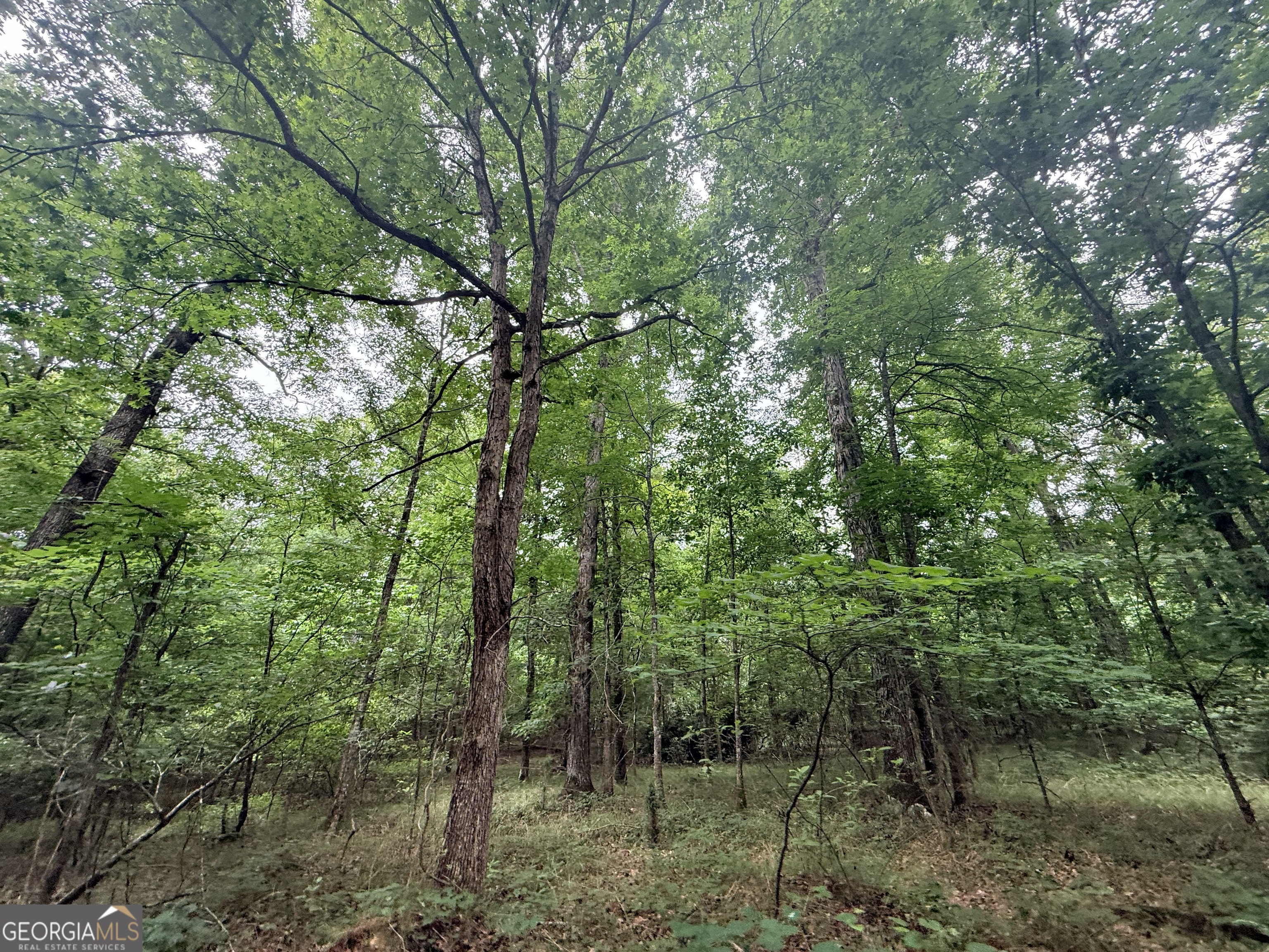 1 Bethesda Church Road Lexington, GA 30648 - Photo 13 of 78