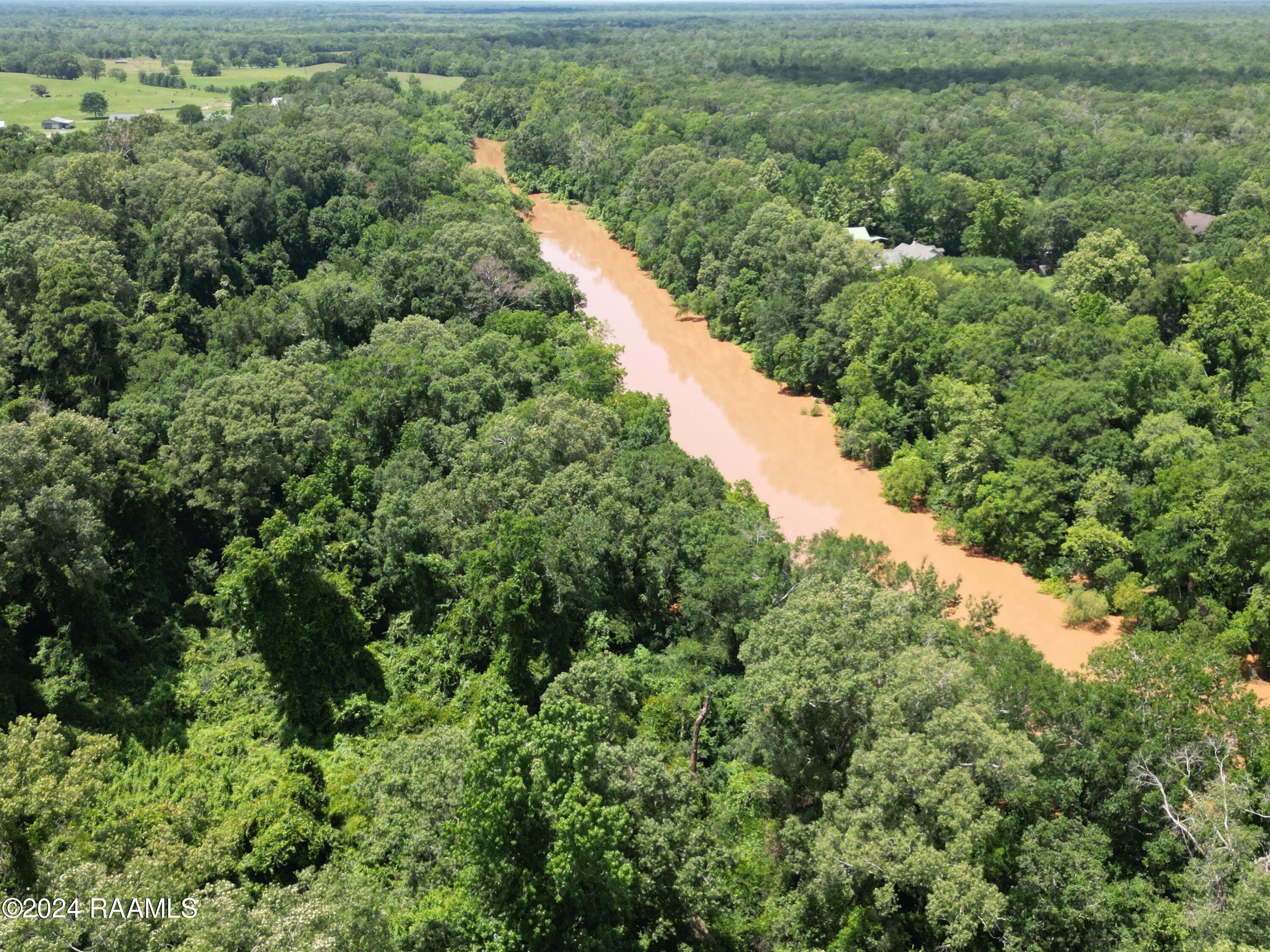 0 Herbert Ortego Road Washington, LA 70589 - Photo 9 of 18