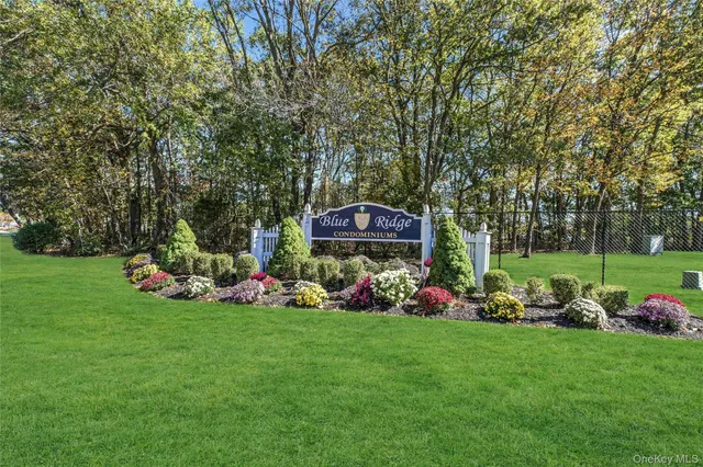 a view of a park with large trees