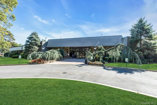 a view of a backyard with a garden and plants