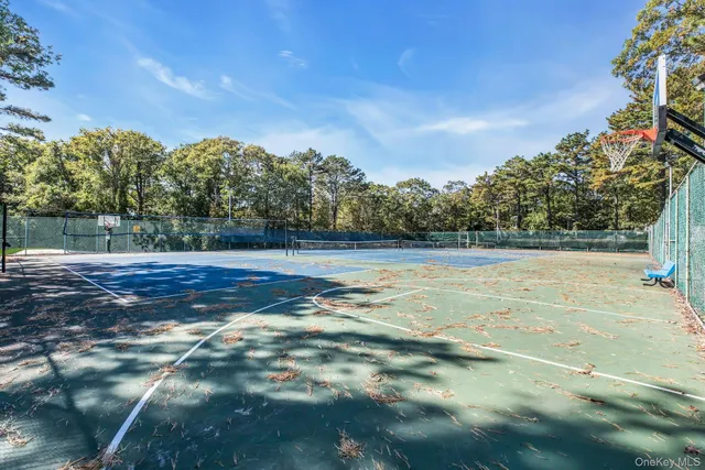 a park with bench and trees