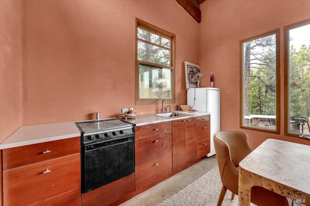100 Blue Wolf Ranch Callahan, CA 96014 - Photo 20 of 46