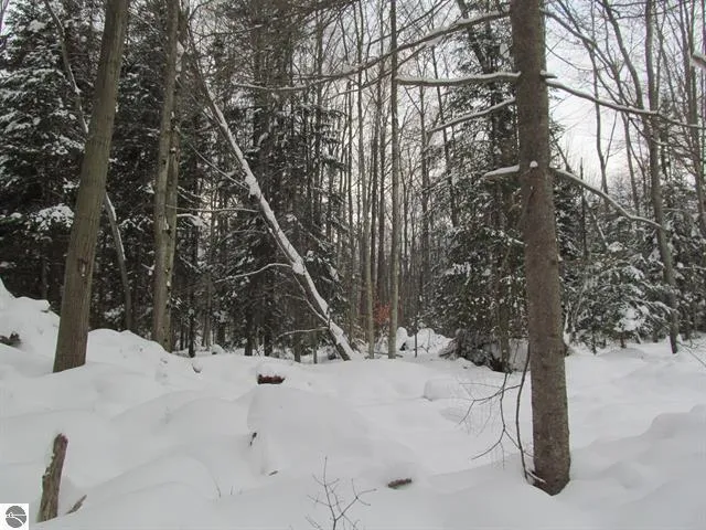 $169,000 | 0 West 13th Street, Cadillac, MI 49601