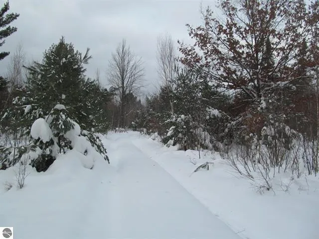 $169,000 | 0 West 13th Street, Cadillac, MI 49601