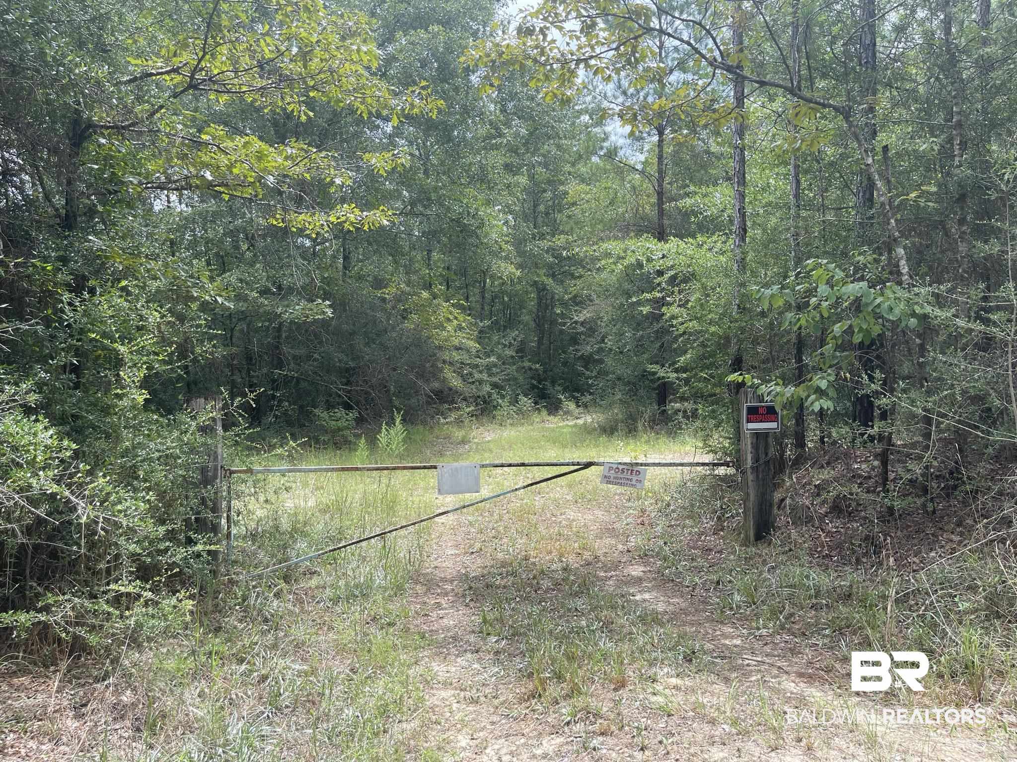 0 County Road 11 Wing, AL 36483 - Photo 32 of 37