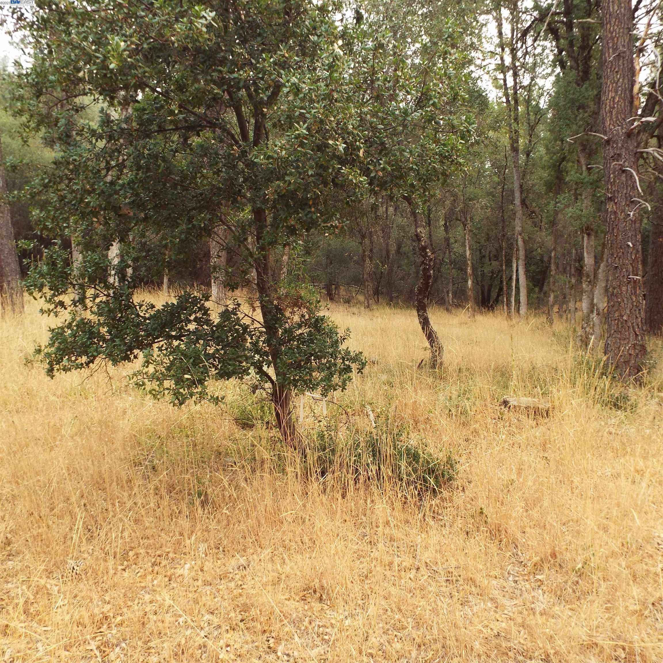 19750 Tiger Tail Road Grass Valley, CA 95949 - Photo 1 of 1 Gallery Image 1