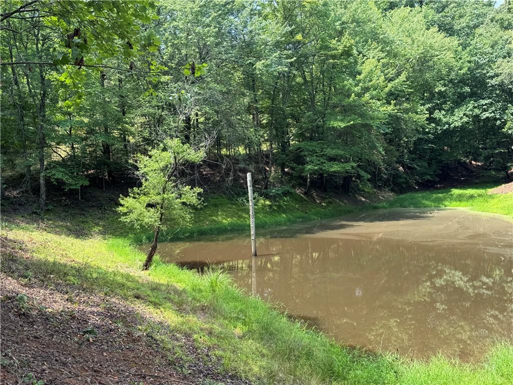 3.5-ac Ben Higgins Road Dahlonega, GA 30533 - Photo 21 of 21