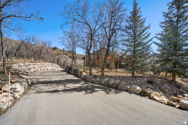 82 Meadow Drive Springville, UT 84663 - Photo 58 of 61