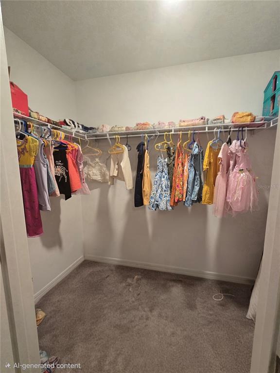 13337 Sunset Sapphire Court Parrish, FL 34219 - Photo 16 of 31