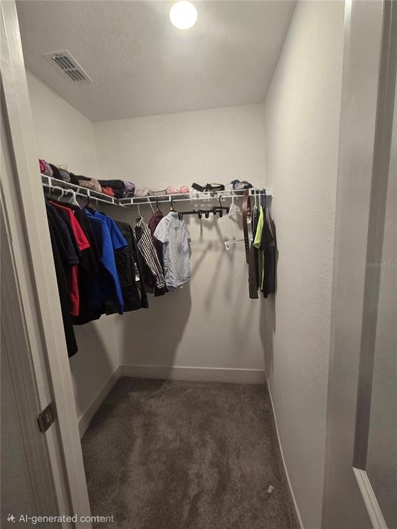 13337 Sunset Sapphire Court Parrish, FL 34219 - Photo 22 of 31