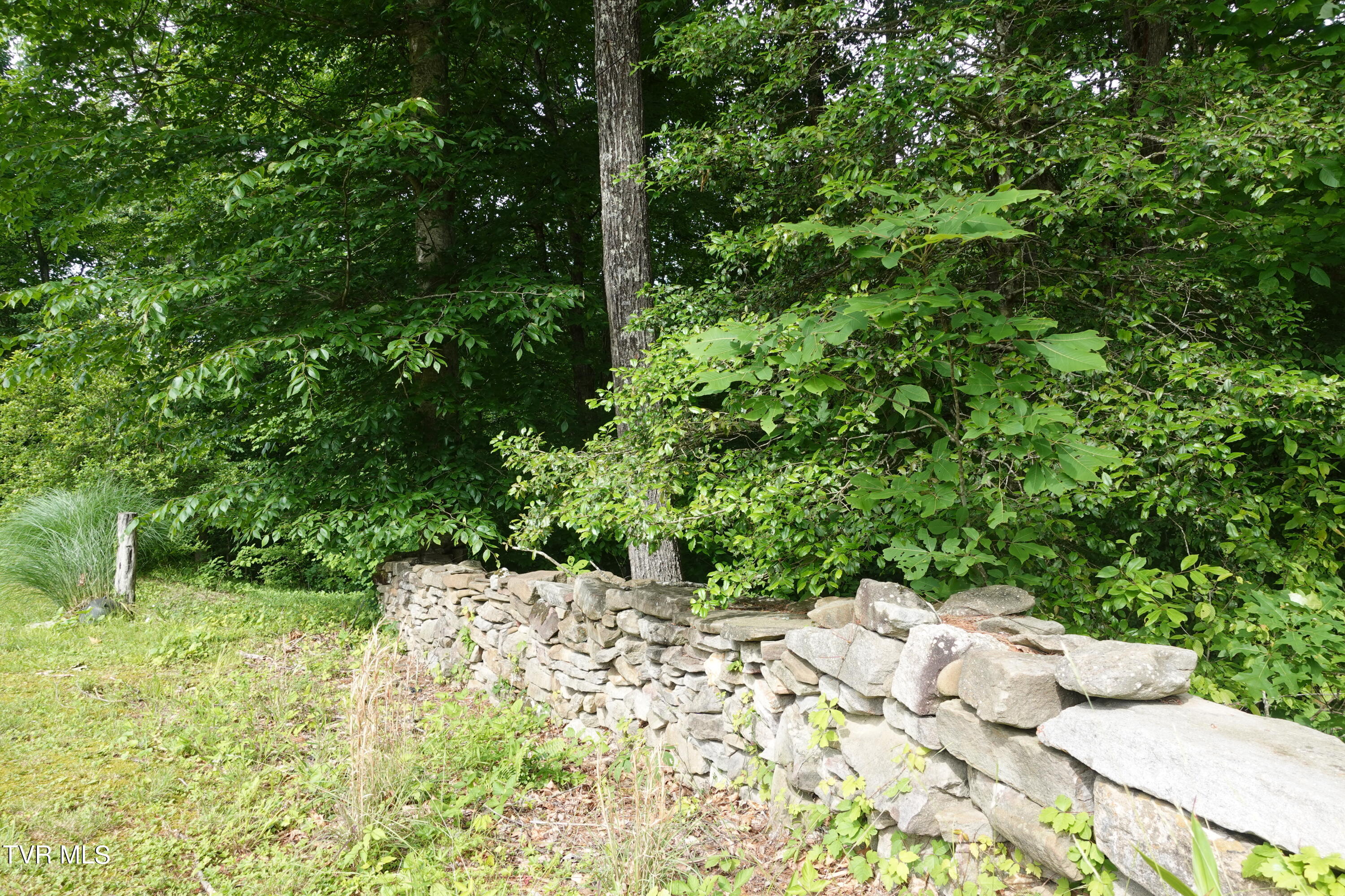 639 Dream Farm Road Birchleaf, VA 24220 - Photo 61 of 153 DSC00246