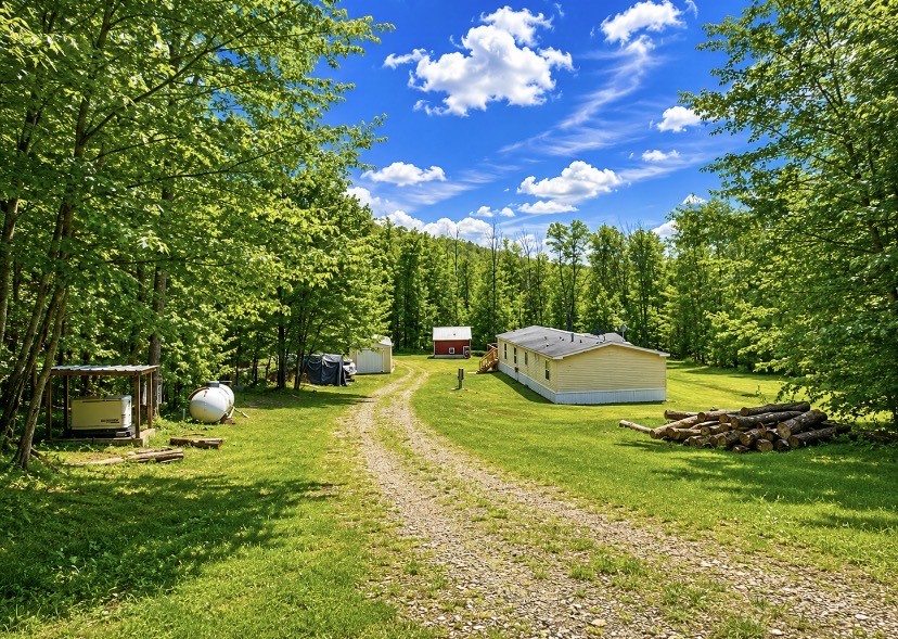 565 Ridge Road Hancock, NY 13783 - Photo 25 of 26 driveway view
