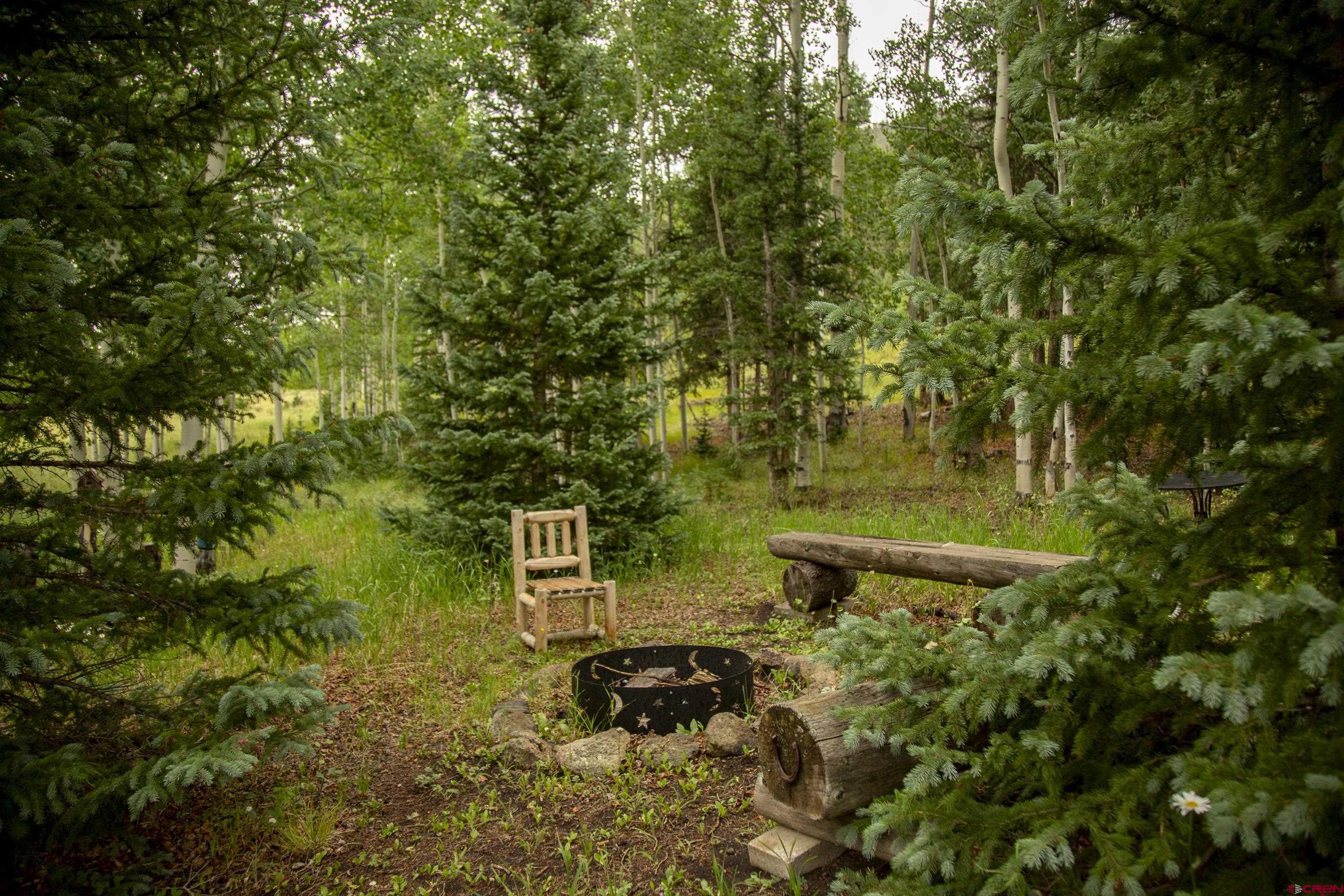 2150 Usfs 521 Road, Unit 18A Creede, CO 81130 - Photo 26 of 31 a backyard of a house with table and chairs