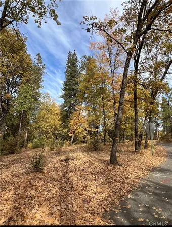 $305,000 | 54692 Bluegill, Bass Lake, CA 93604