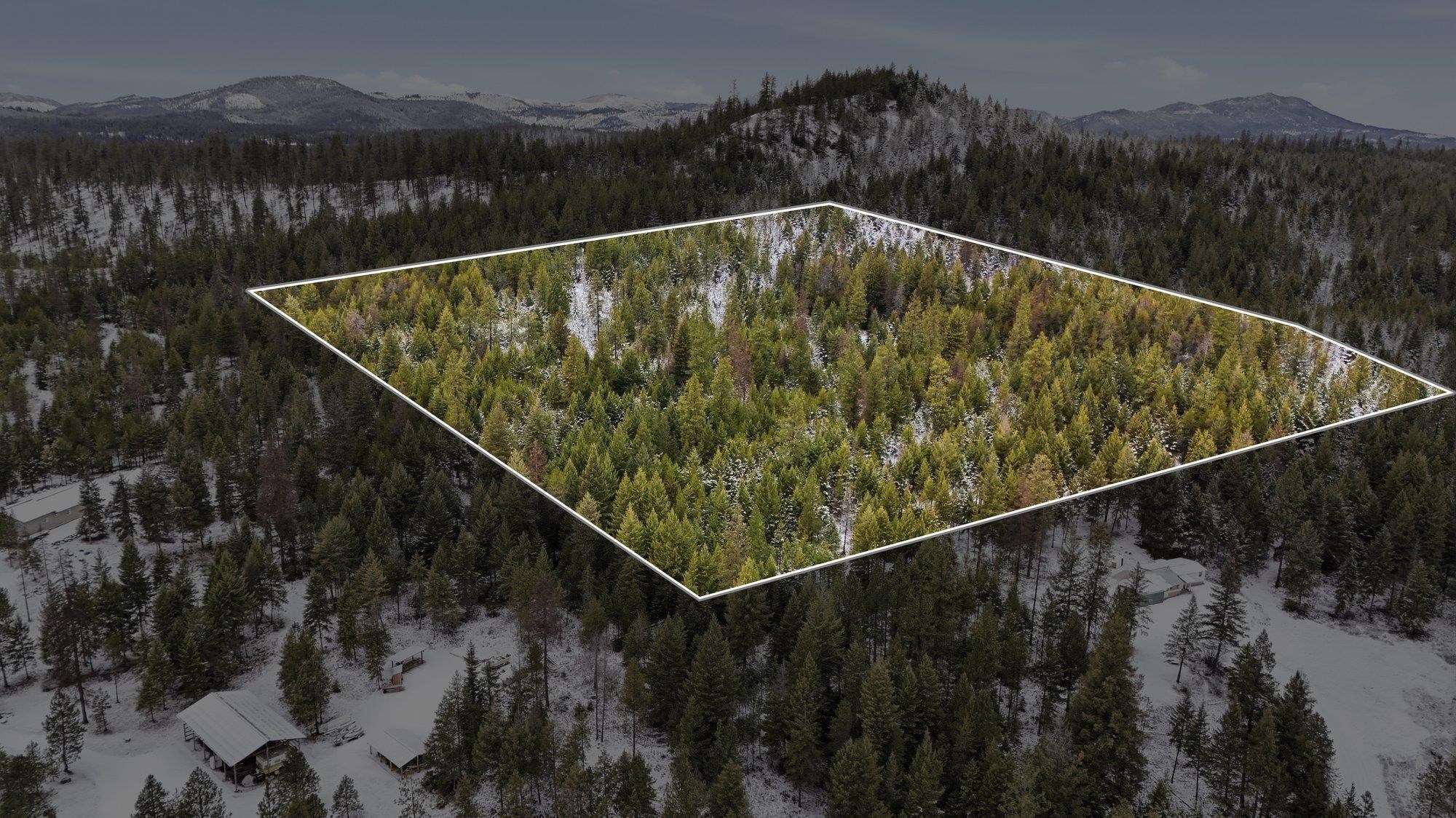 Xxx Lumberg Road Springdale, WA 99173 - Photo 2 of 7