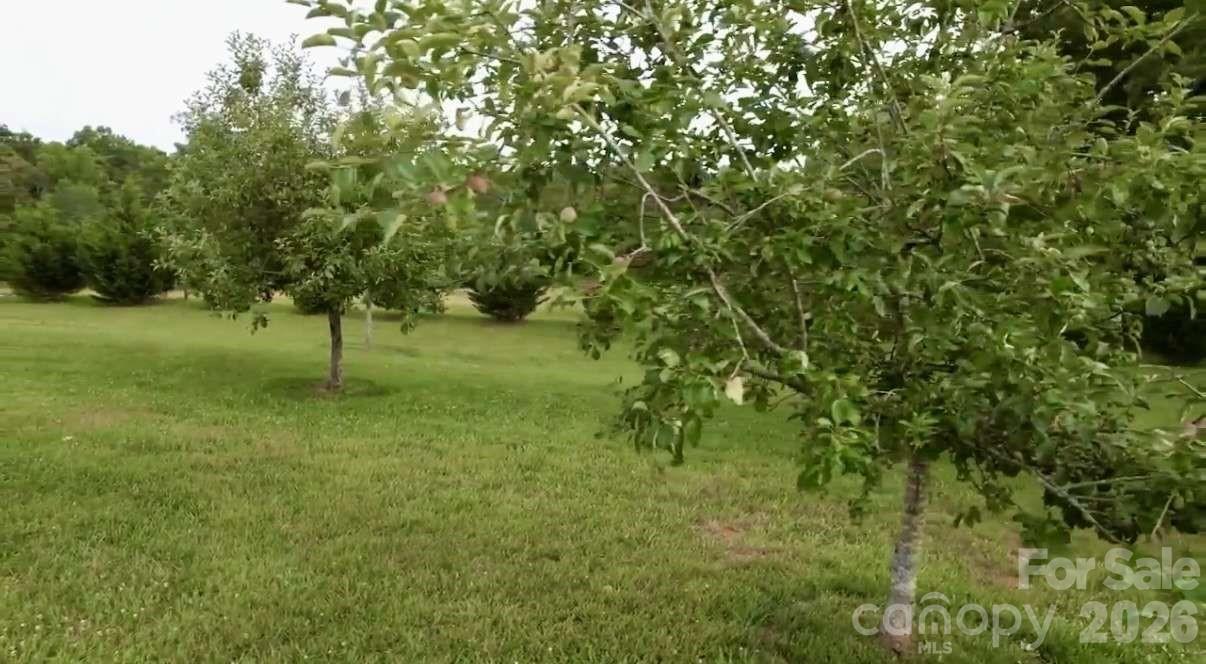 3458 Jennings Road Union Grove, NC 28689 - Photo 11 of 18