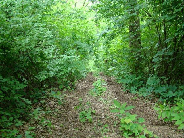 5283 Bybee Road Winchester, KY 40391 - Photo 45 of 55 Photo 45