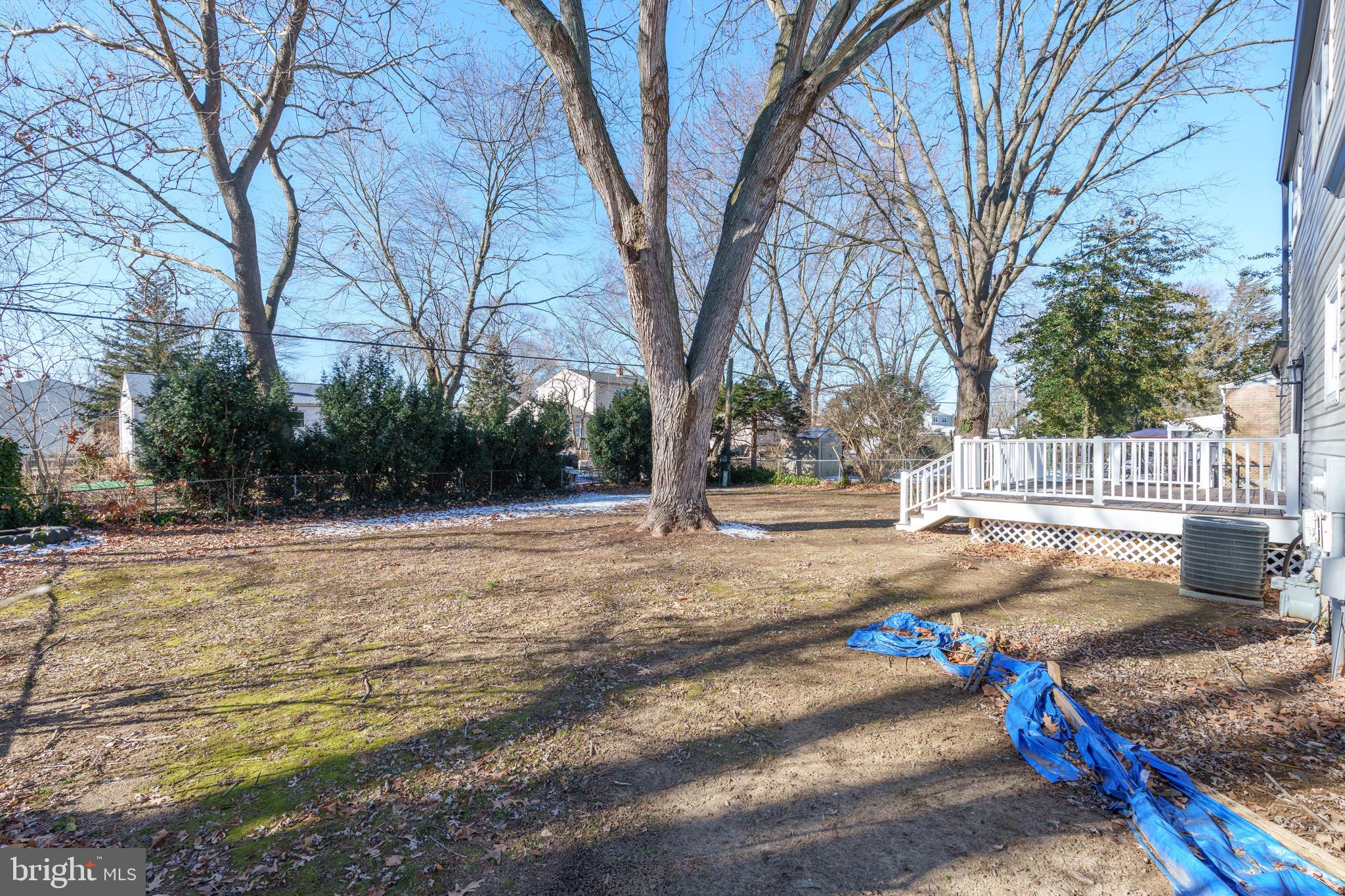 344 Nimitz Road Dover, DE 19901 - Photo 25 of 26 a view of yard with tree