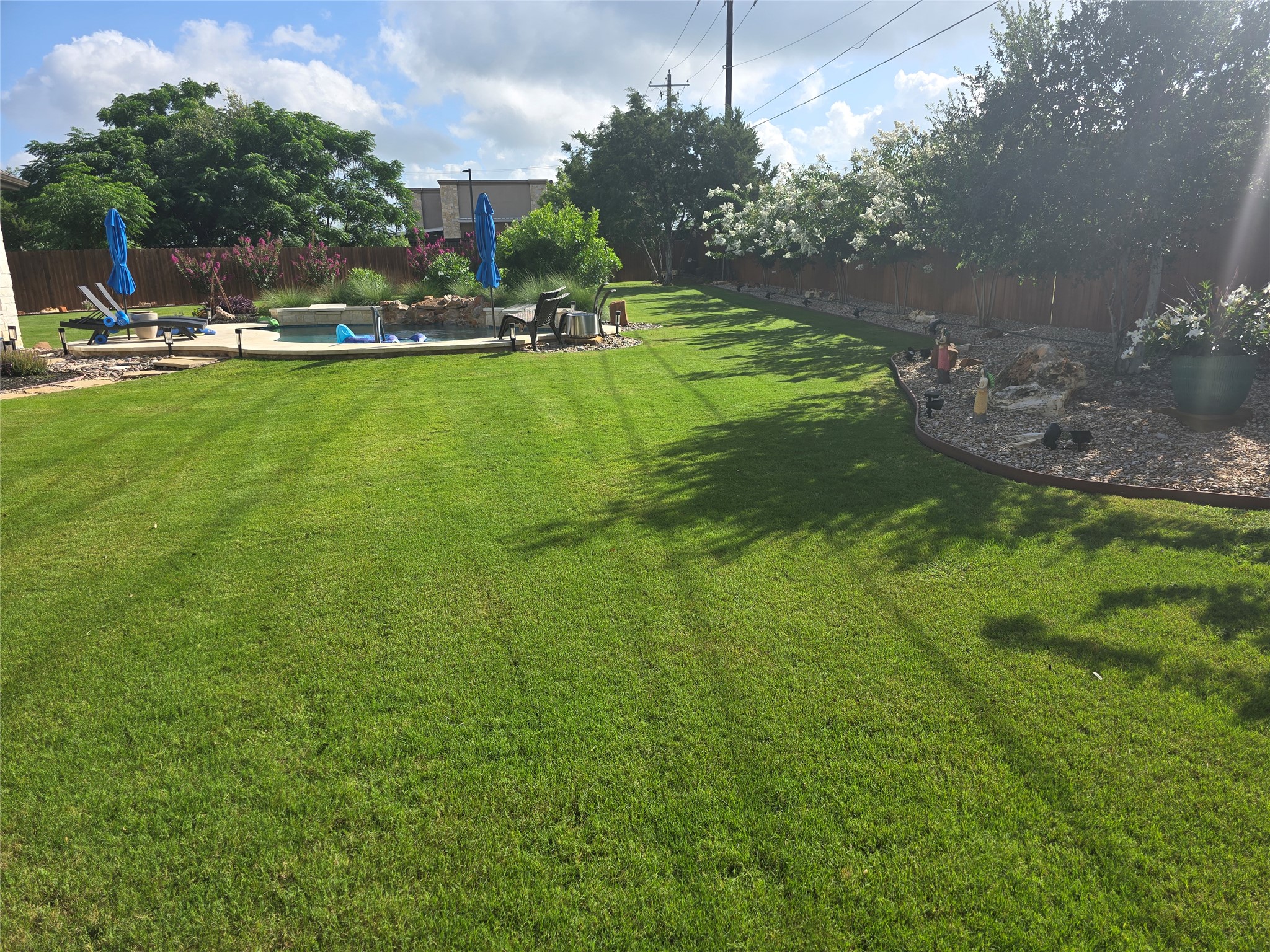 332 Axis Loop Georgetown, TX 78628 - Photo 34 of 37 View of fenced backyard
