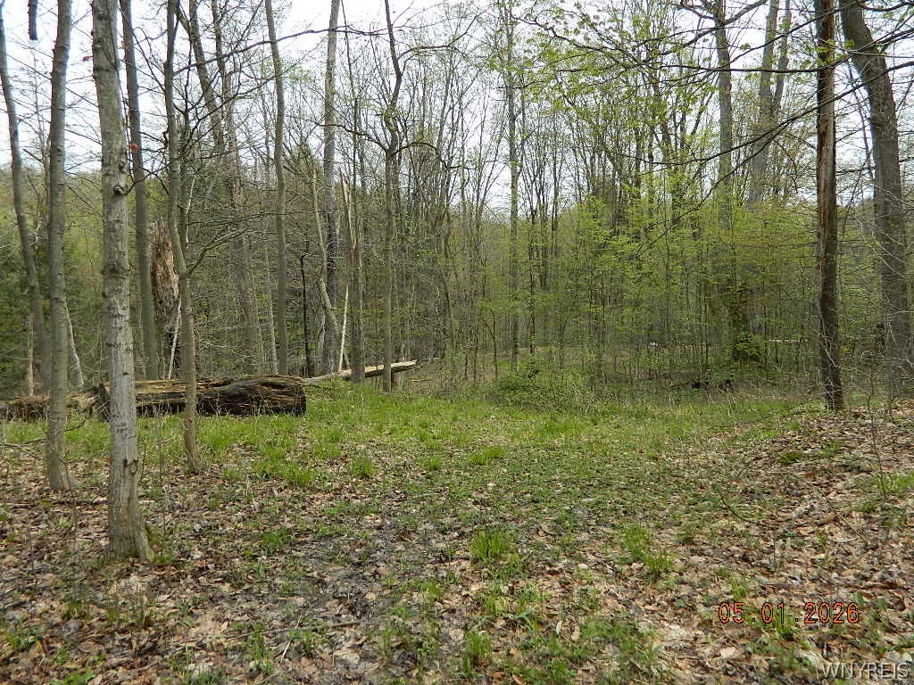 9999 Olean Road Holland, NY 14080 - Photo 7 of 28