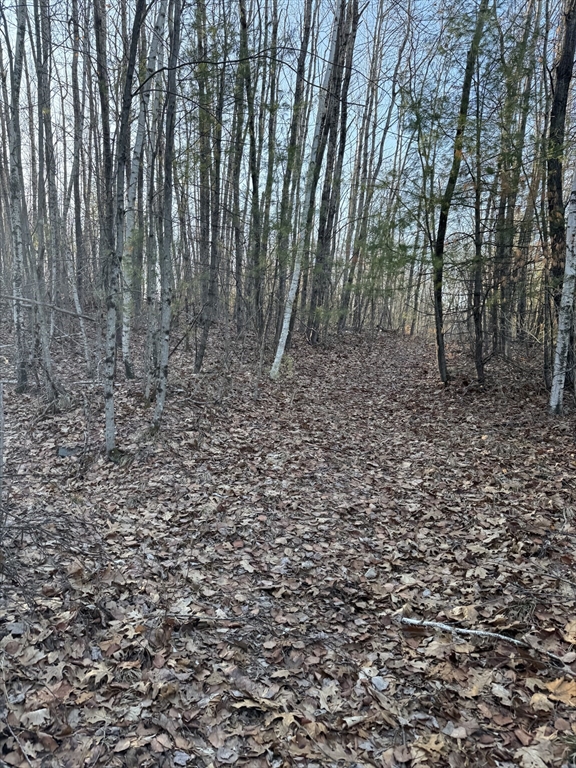 139 Nashua Road Pepperell, MA 01463 - Photo 3 of 4