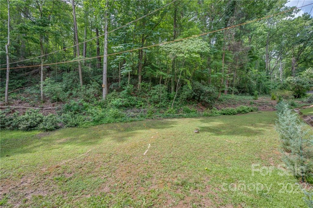 111 Jervey Road Tryon, NC 28782 - Photo 34 of 34 a view of a field with a tree