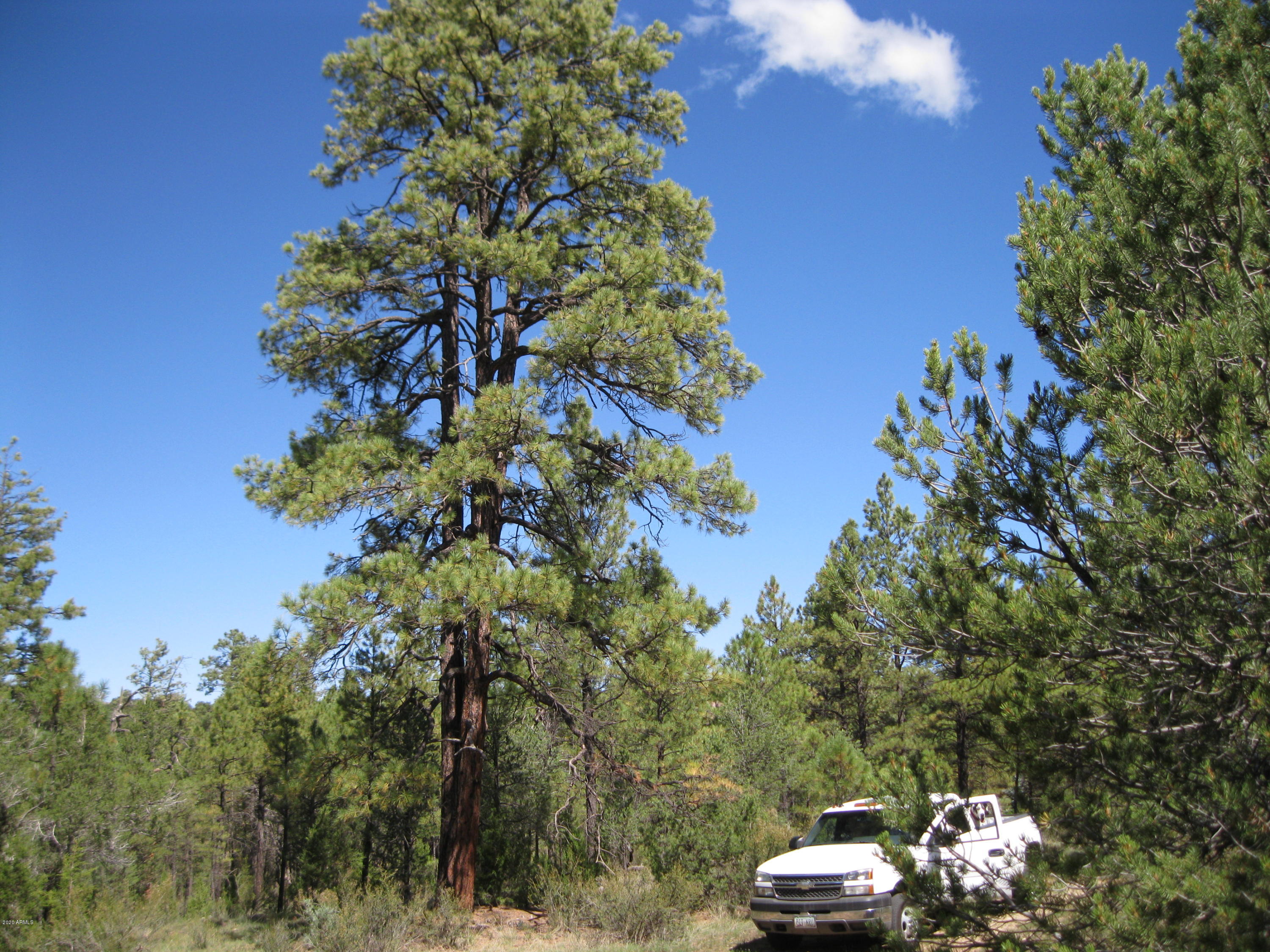 187 X Chevelon Road, Unit A & B Heber, AZ 85928 - Photo 3 of 7 IMG_5069