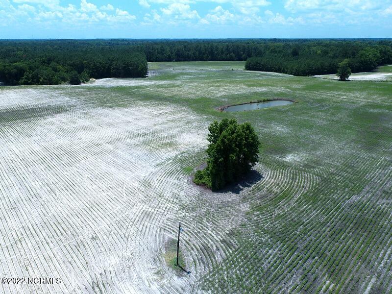 0 Marietta Road Fairmont, NC 28340 - Photo 11 of 16 10