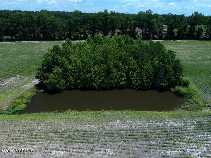 0 Marietta Road Fairmont, NC 28340 - Photo 13 of 16 12