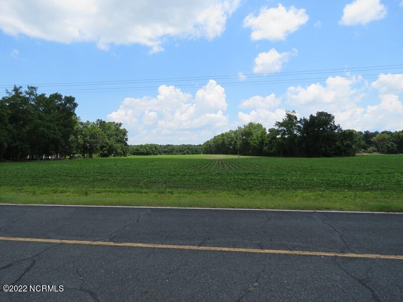 0 Marietta Road Fairmont, NC 28340 - Photo 4 of 16 3