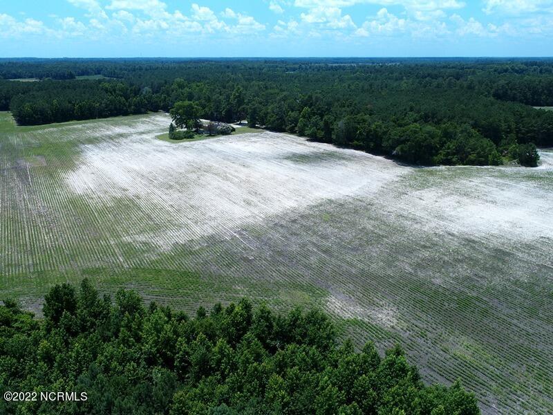 0 Marietta Road Fairmont, NC 28340 - Photo 5 of 16 4